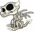 BoneDragonBaby