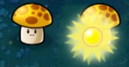 Sunshroom sun