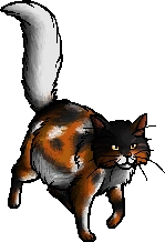 Mapleshade.queen