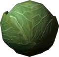 Cabbage.png