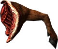 Leg of goat.png