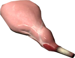 Raw rabbit leg