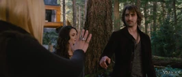 Screen-Shot-2012-09-07-at-8 11 39-PM
