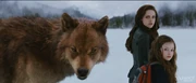 Screen-Shot-2012-09-07-at-8 05 45-PM