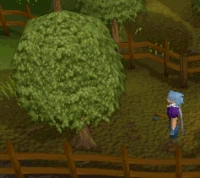 Old woodcutting