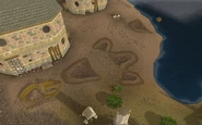 Penguin prints