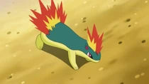 EP755 Quilava de Dawn