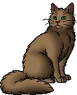 Beechfur (RC).warrior.png