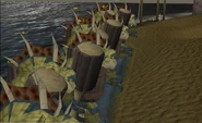 Rise from the Sea