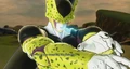 SuperPefectCell