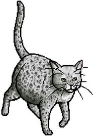 Ferncloud.queen