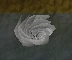 Whirlpool