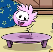 A bouncer pink