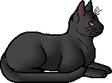 Cinderfur.elder