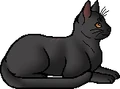 Cinderfur.elder