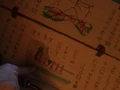 Boraalan signs.jpg