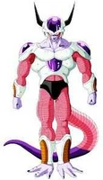 Freezer 2º Forma