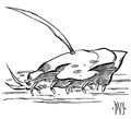Bandara.jpg