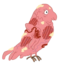 Bird Inside Out