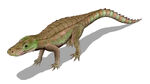 Anatosuchus