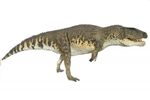 Arctosaurus