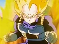 Vegeta 6454