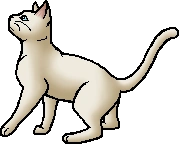 Milkfur (WC).deputy