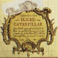 SlicedCaterpillar.jpg