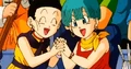 Chichi and Bulma
