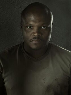 T-Dog Temporada 3