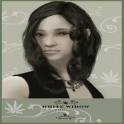 White Widow Werbung