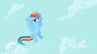 Rainbow Dash see us S2E8