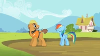 Rainbow Dash safe & sound S2E8