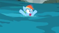Rainbow Dash in water S2E8