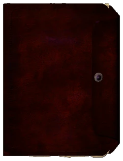 Journal03