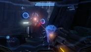 Rotf42