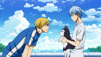 Kise and Kuroko