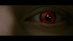 Aro-mind-eye