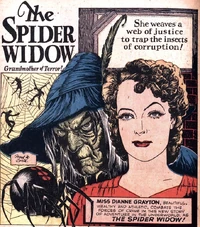 Spider Widow