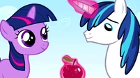 Twilight and Shining Armor sharing an apple S02E25