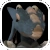 AdelphiMini.png (5 KB) AdelphiMini