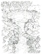 Chocobo Forest FF8 Art 2