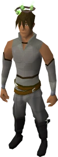 Guthix halo equipped