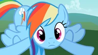 Rainbow Dash ting! S2E8