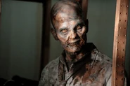 ZOM1