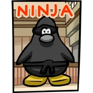Dig Out The Dojo Ninja Banner