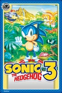 Sonic 3 Card