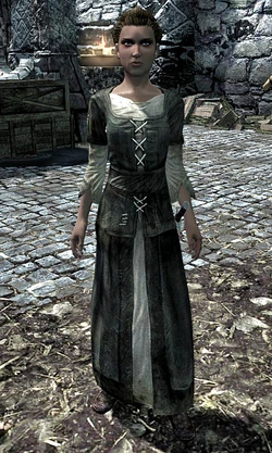 Nilsine Shatter-Shield