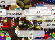 We too rookie!