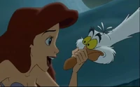 Ariel and scuttle